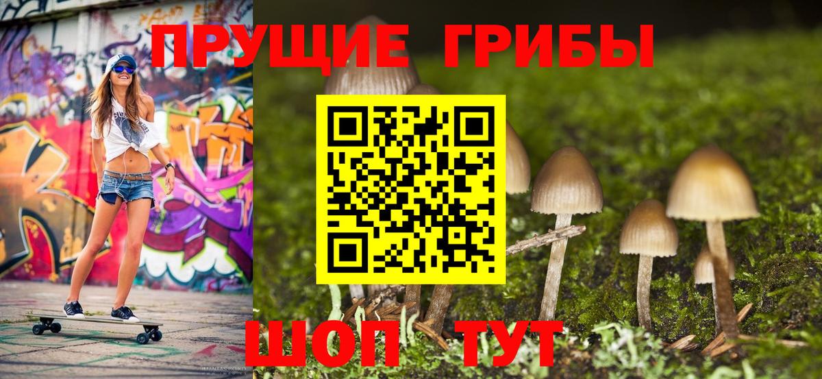 Псилоцибиновые грибы мицелий Рязань